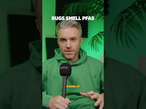 PFAS Smell and Bugs can tell! #pfas #bug #science #tech #research