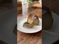 【これは合う】ほうじ茶バスクチーズ