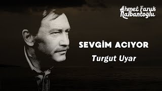 Sevgim acıyor | Turgut Uyar [Şiir] Resimi