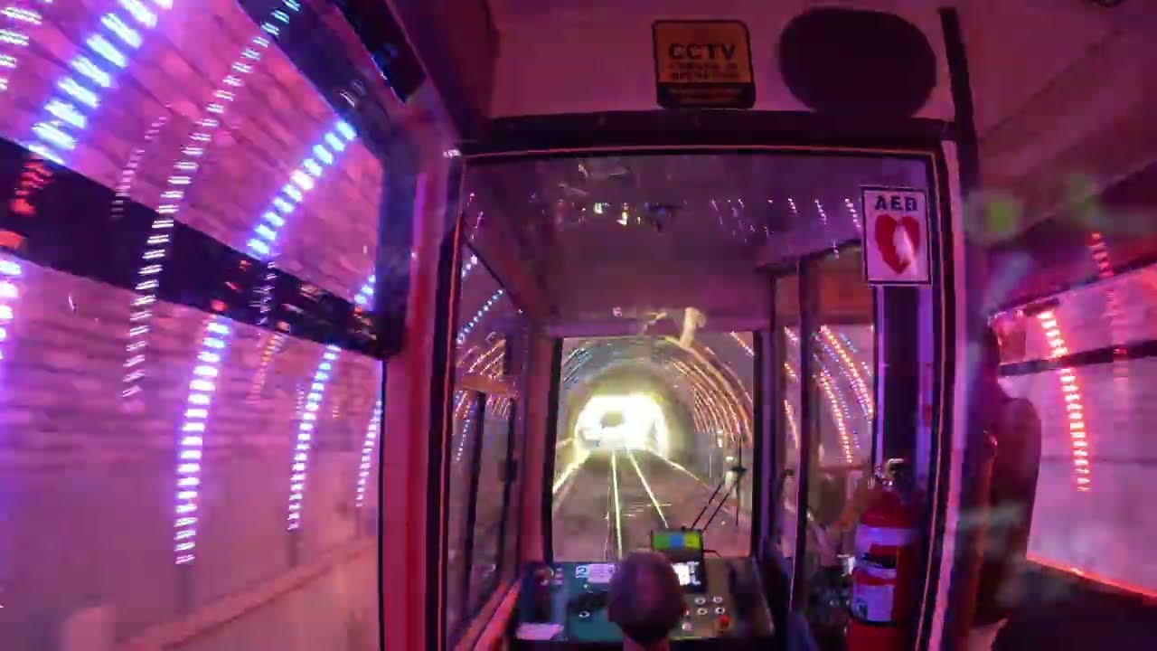 Wellington's Cable Car Secrets: Epic Ride & Hidden Museum Tour