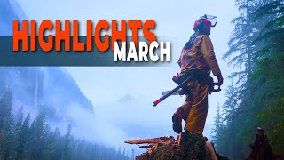 84 Spring Highlights | 2024
