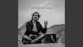 Video thumbnail of "Zeeshan Ali - Gulon Me Rung Bhare"