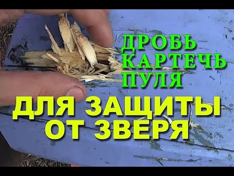 Видео: Разница между пулей и картечью