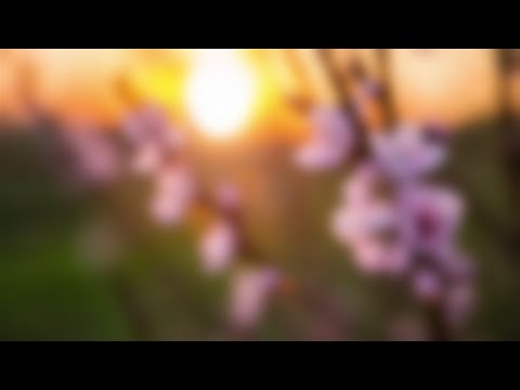 СТАЛ ЕЁ ХОЗЯИНОМ. Интересные истории измен. Жизненные истории, аудио рассказы