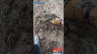 Minelab Manticore e Pala Blu Over-Detector, una coppia Vincente per chi Ama il Nostro Hobby