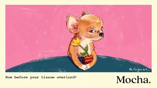 Download Lagu judgy chihuahua. MP3 Download Lagu judgy chihuahua. MP3