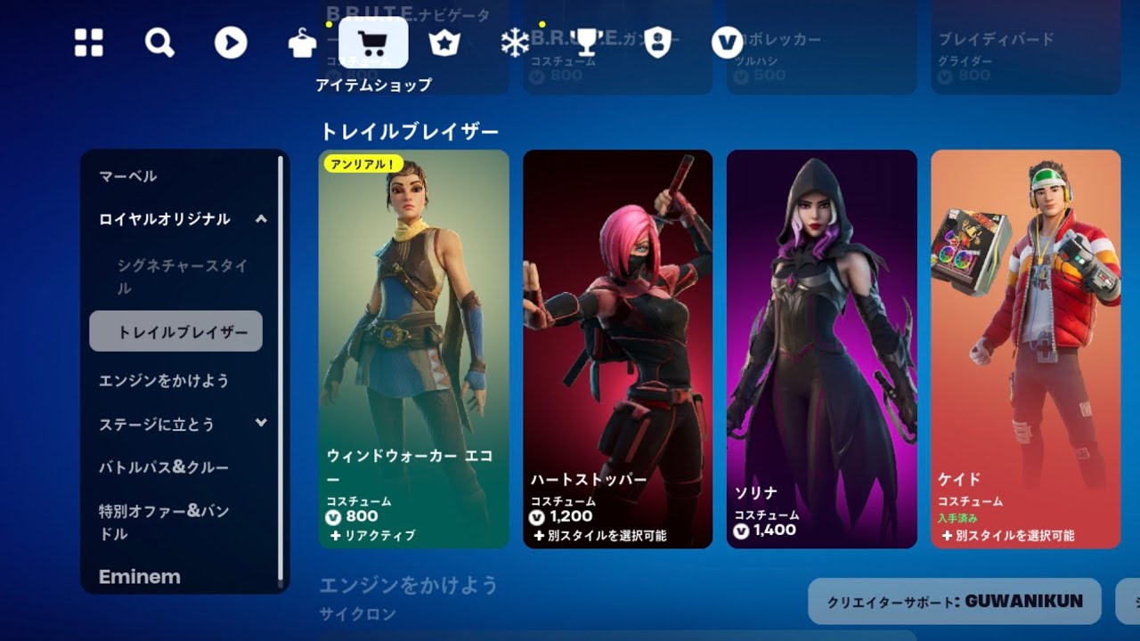活動歴および当時の関連ビジュアル記録