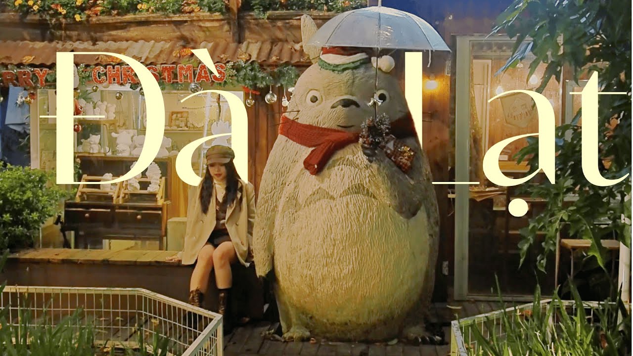 Đà Lạt Vlog 🎄| Chữa lành, cafe bình minh, chụp hoa, lẩu gà lá é! Mùa mưa bão hay mùa đẹp nhất năm?