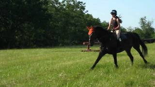 MVI_2687.AVI