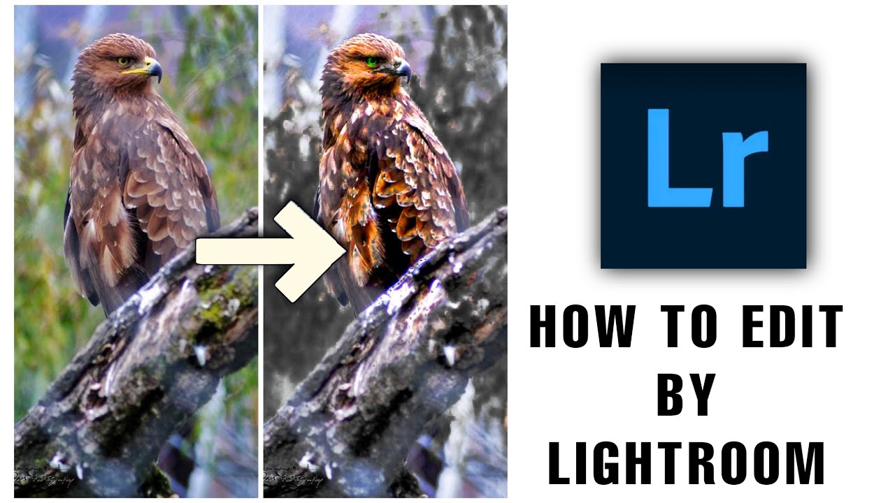 HOW TO EDIT BY LIGHTROOM💡#video #viral #editing #like #comment #STATUS__192__EDIT