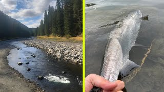 My Favorite Low Water Coho Rig by Holy Moly Outdoors 1,560 views 6 months ago 4 minutes, 42 seconds