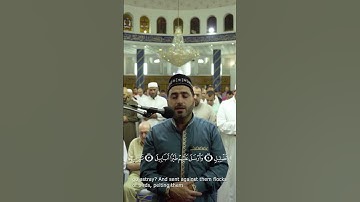 تلاوة رائعة من صلوات القارئ يحيى حوى .. سورة الفيل  #يحيى حوى #سورة الفيل