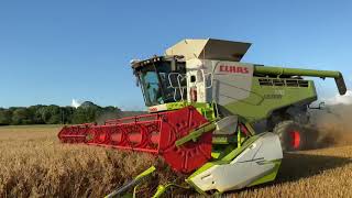 Harvesting Oats