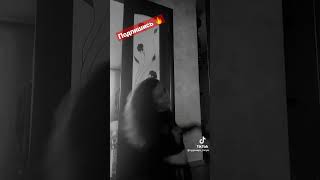 Сексуальный Танец 💥 #Tiktok #Тикток