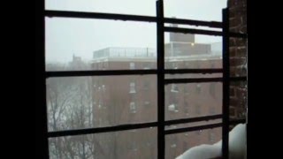 Snowstorm In Ny At Jan 23 2016