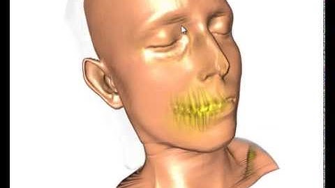 Dynamic Focus+Context for Volume Rendering (3)