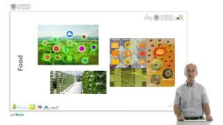 The future of nanomaterials | 8/19 | UPV