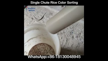 Single Chute Rice Color Sorting with Rice Mill