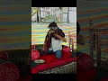 જય માળ વાળા માં મેલડી Malvali Ma Meldi Korda Satubhuva Ni Meldi fan page