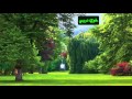 خوي دربي ابو ياسر وابو فهد معنا خوي دربي ابو ياسر وابو فهد معنا
