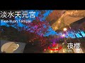Vlog 360 | 台灣淡水 天元宮夜櫻360度影片 | 台湾淡水天元宮 夜桜 360度ビデオ | The Night Sakura at Tien Yuan Templei