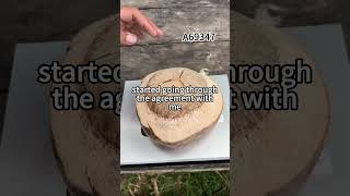 7hsfA69347_nh181