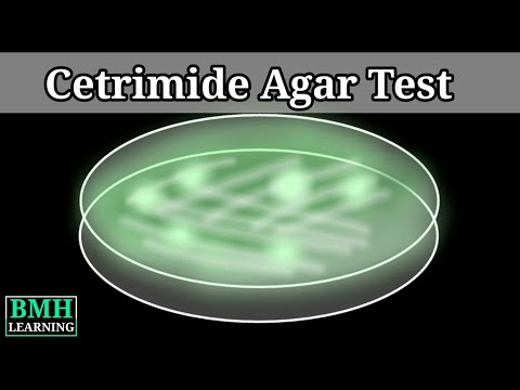 Cetrimide Agar Test | Cetrimide Agar To Identify Pseudomonas | Pseudomonas Biochemical Test |