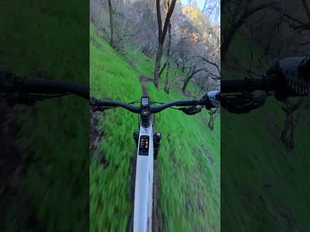 DJI OSMO Nano: Pros n Cons #djiosmonano #dji #mtb #mtblife #mtbreview