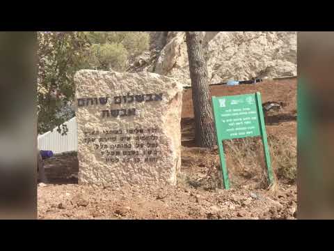 Vidéo: Grotte D'Avshalom - Vue Alternative