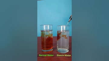 Science Experiment with Iodine vs Starch water 😮 | Iodine Test in Starch #experiment
