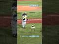 マーくん、ダンシングつば九郎輪投げに挑戦!2026/06/03