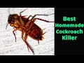 Homemade cockroach killer, Goodbye to cockroaches with this homemade trick, Get Rid Of Cockroaches