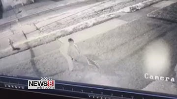 Surveillance video captures vandalism to campaign signs