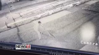 Surveillance Video Captures Vandalism To Campaign Signs