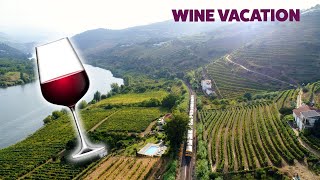 10 Places To Travel Based On Your Favorite Wine