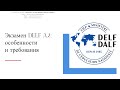 Экзамен DELF A2:  особенности и требования