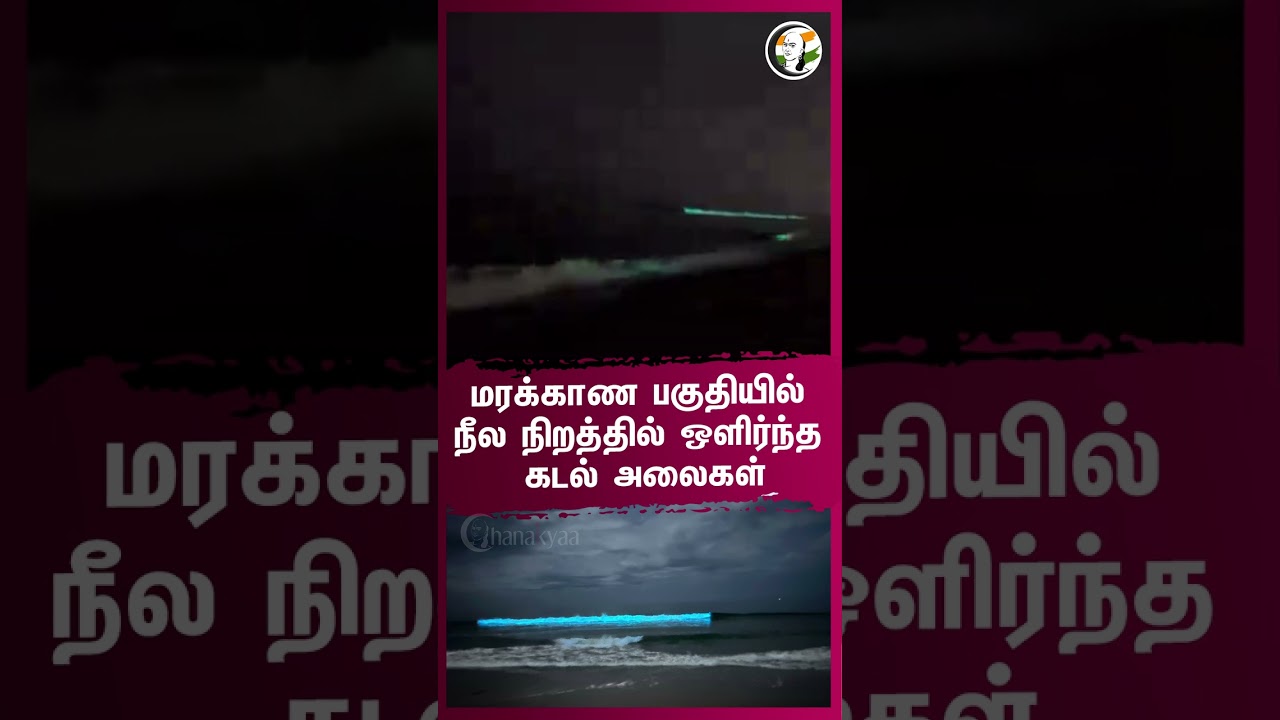 Marakkanam பகுதியில் நீல நிறத்தில் ஒளிர்ந்த கடல் அலைகள்