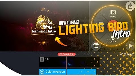 How to make ligthing bird intro in kinemaster ||technical intro