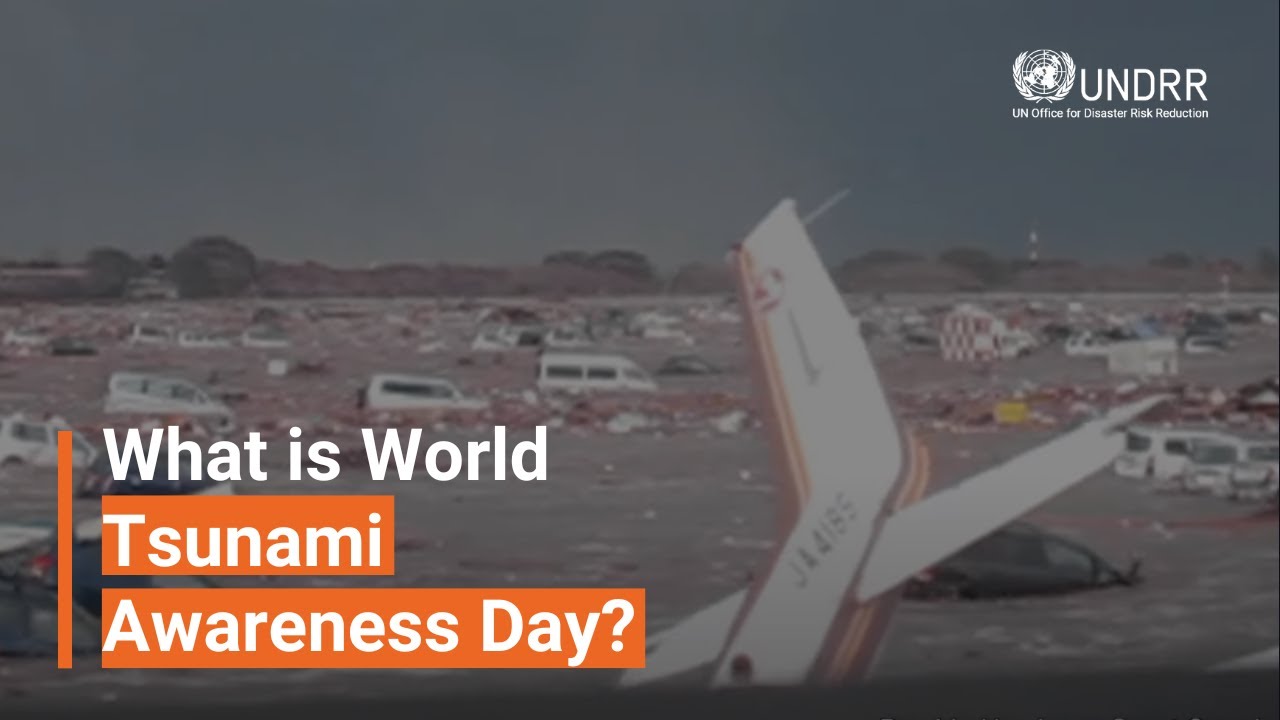 What is World Tsunami Awareness Day? | UNDRR