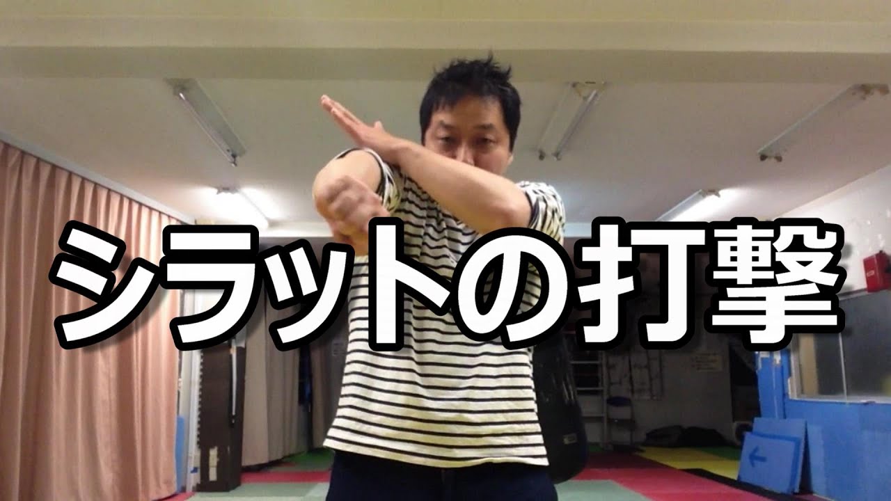 シラットの打撃（一人練習型）」廉価版教則DVDダイジェスト映像 - YouTube