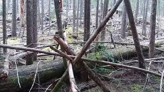 Oly Sasquatch Cispus River Area Pt. 5