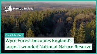 Wyre Forest becomes largest woodland National Nature Reserve