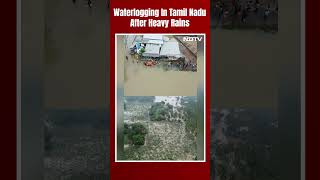 Tamil Nadu: Waterlogging In Many Parts Of Thoothukudi After Heavy Rains