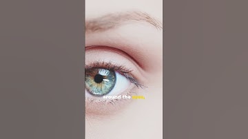Can You Read MINDS Through EYE MOVEMENTS?