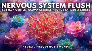 528 Hz 🌿 Nervous System Flush & Deep Trauma Release 🌧️ With Gentle Rain | Meditation Music