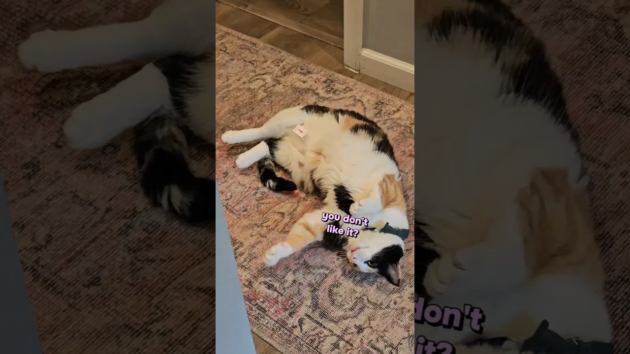 just Pixel doing Pixel things