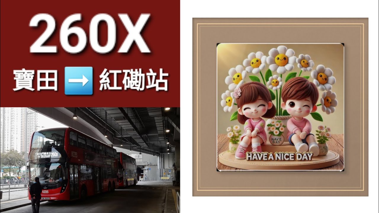 Hong Kong Bus KMB E6X287 @ 260X 九龍巴士 Alexander Dennis Enviro500 MMC New Facelift 寶田 紅磡站