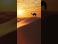 Sahara Desert Morocco 🇲🇦 | Most Beautiful Desert in the World 4K