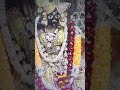 22-4-2026 लाईव दर्शन बांके बिहारी मंदिर #vrindavan