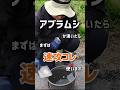 アブラムシが湧いたら、まずは速攻コレ使います